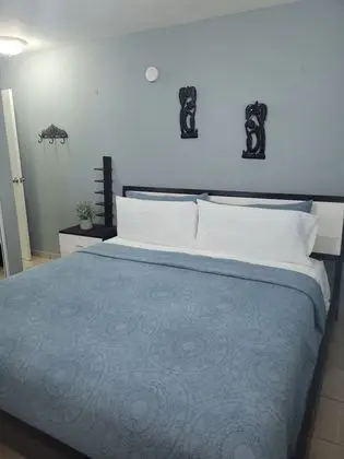 Deluxe Apart Daire, 1 Yatak Odası, Sigara İçilmez