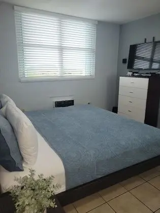 Deluxe Apart Daire, 1 Yatak Odası, Sigara İçilmez