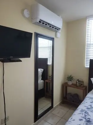 Deluxe Apart Daire, 1 Yatak Odası, Sigara İçilmez