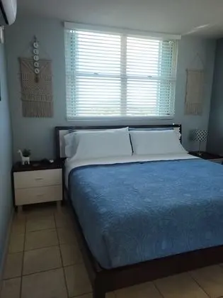 Deluxe Apart Daire, 1 Yatak Odası, Sigara İçilmez