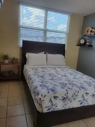 Deluxe Apart Daire, 1 Yatak Odası, Sigara İçilmez