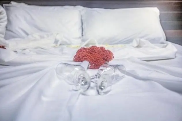 Dağ Evi (Bem te vi)