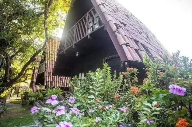 Dağ Evi (Bem te vi)