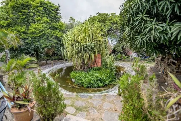 Dağ Evi (Bem te vi)