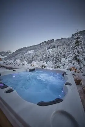 Dağ Evi, 5 Yatak Odası, Dağ Manzaralı (Lodge)