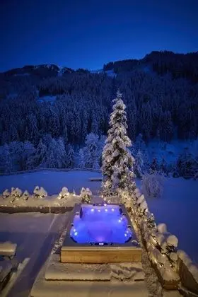 Dağ Evi, 5 Yatak Odası, Dağ Manzaralı (Lodge)