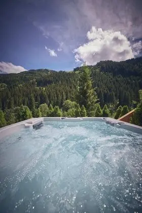 Dağ Evi, 5 Yatak Odası, Dağ Manzaralı (Lodge)