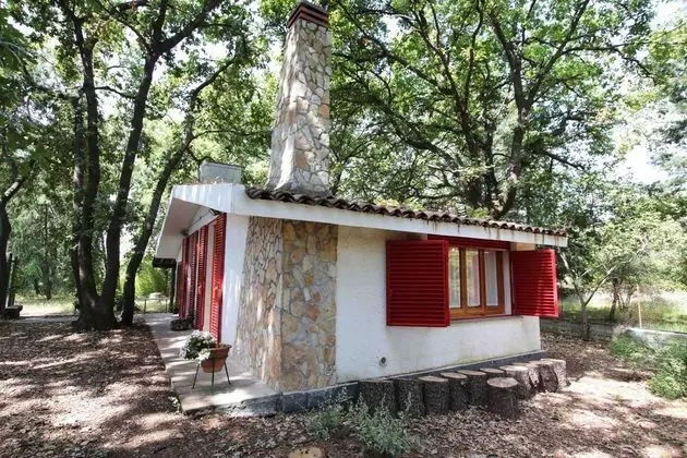 Stüdyo, Engellilere Uygun, Şömine