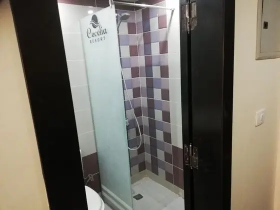 Stüdyo, 1 Yatak Odası