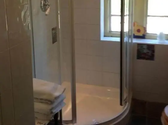 Comfort Tek Büyük Yataklı Oda, Banyolu/Duşlu (Four Poster)