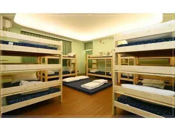 Ortak Ranzalı Oda (mixed 12 bed)