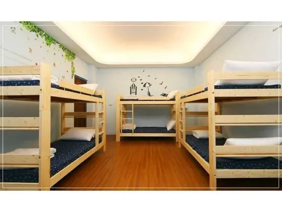 Ortak Ranzalı Oda (mixed 8 bed)