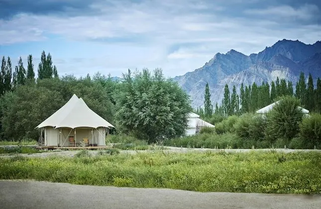 Luxury Çadır, Veranda (Suite)