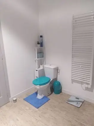 Süit