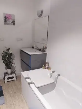 Süit