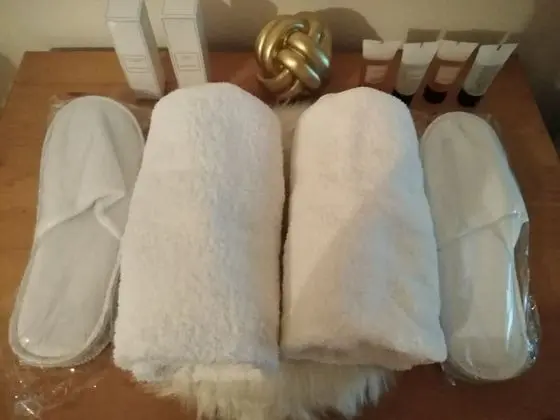 Süit
