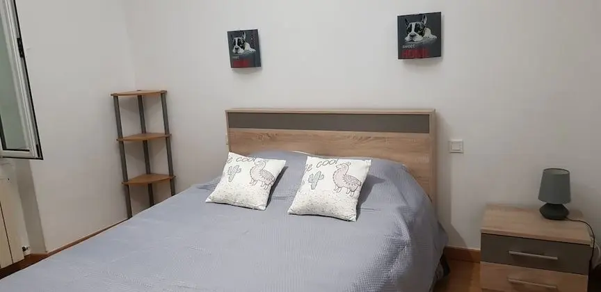 Comfort Tek Büyük Yataklı Oda, Bahçe Manzaralı