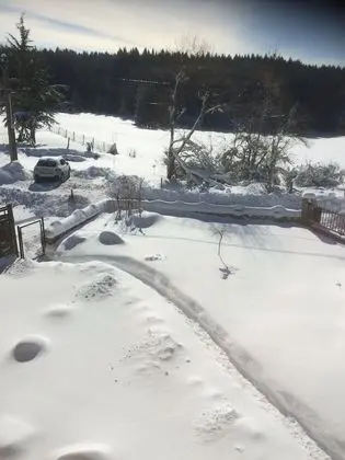 Comfort Üç Kişilik Oda, Bahçe Manzaralı