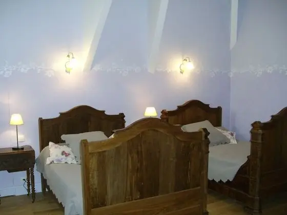 Tek Büyük Yataklı Oda (Cote Jardin)