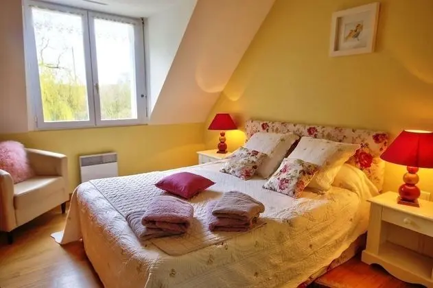 Comfort Tek Büyük Yataklı Oda, Sigara İçilmez (Jaune)