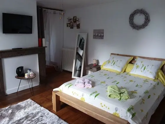 Tek Büyük Yataklı Oda (La Nature)