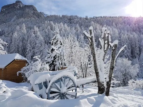 Traditional Tek Büyük veya İki Ayrı Yataklı Oda, 1 Büyük (Queen) Boy Yatak, Dağ Manzaralı (Siguret)