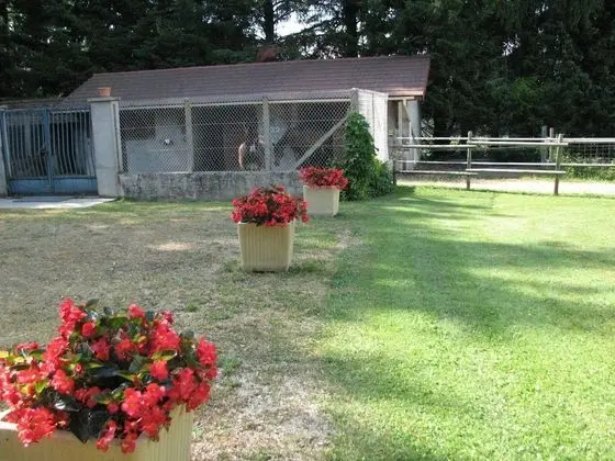 Luxury Tek Büyük Yataklı Oda