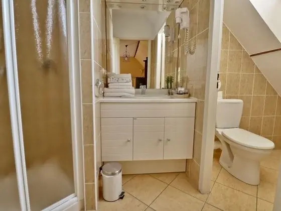 Superior Tek Büyük Yataklı Oda