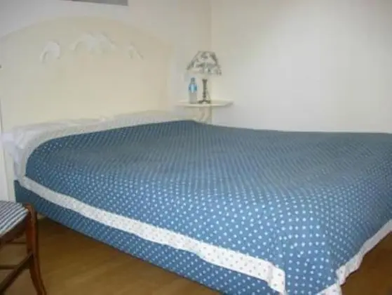 Standard Tek Büyük Yataklı Oda (Bleue)