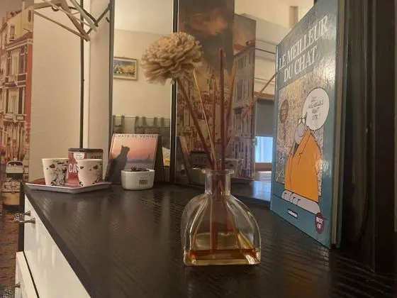 Tek Büyük Yataklı Oda (Chat)