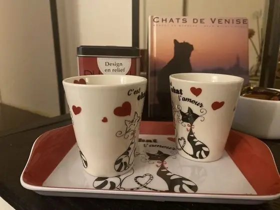 Tek Büyük Yataklı Oda (Chat)