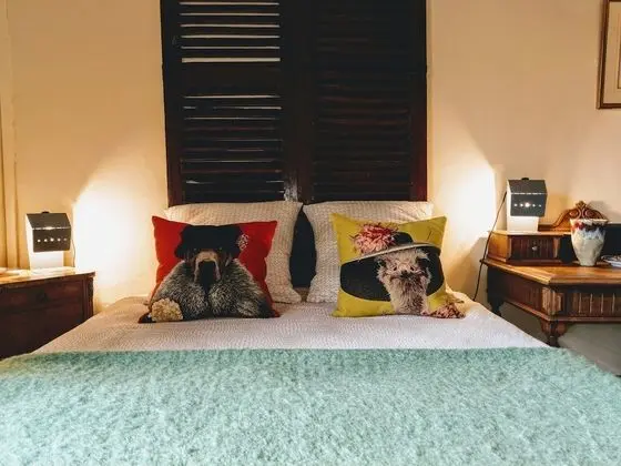 Tek Büyük Yataklı Oda (Vert Véronèse)