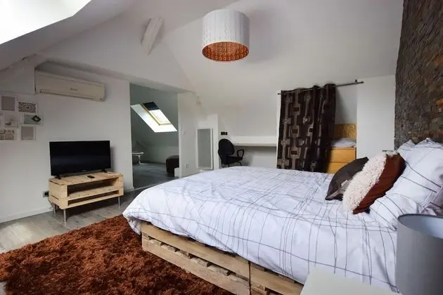 Superior Tek Büyük Yataklı Oda