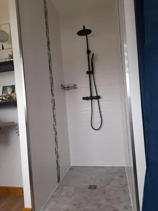 Deluxe Süit, Banyolu/Duşlu (chambre scandinave)