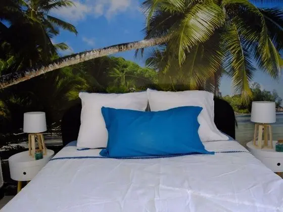 Tek Büyük Yataklı Oda (Bleu)