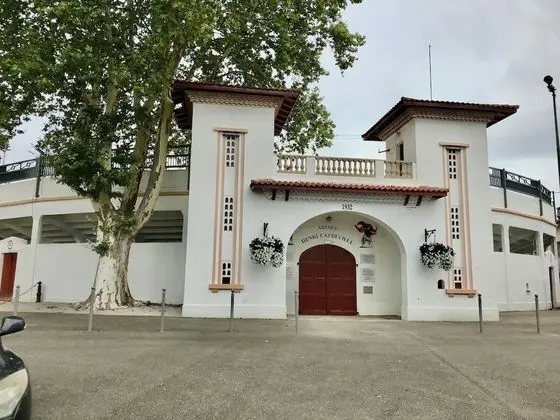 Basic Üç Kişilik Oda (Bambou)