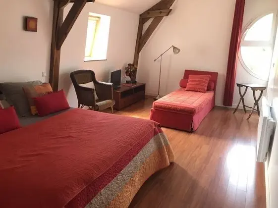 Tek Büyük Yataklı Oda, Banyolu/Duşlu (Moderne)