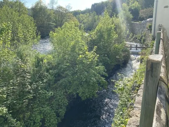 Tek Büyük Yataklı Oda, Banyolu/Duşlu (Romantique)