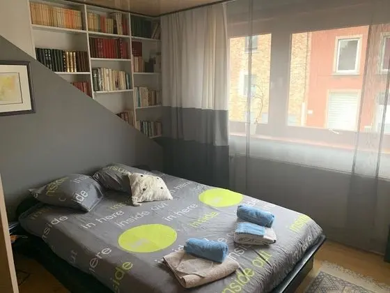 Tek Büyük Yataklı Oda, Banyolu/Duşlu ( privée et bureau)