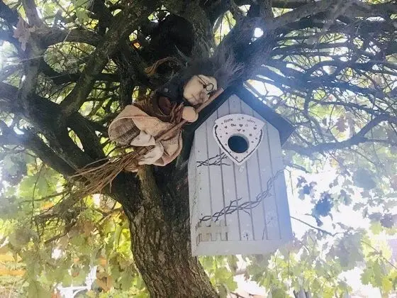 Comfort Tek Büyük Yataklı Oda, Banyolu/Duşlu, Şehir Manzaralı