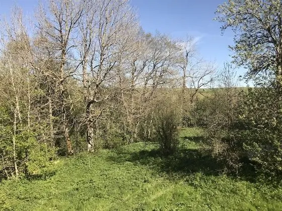 Tek Büyük Yataklı Oda (Paturage)