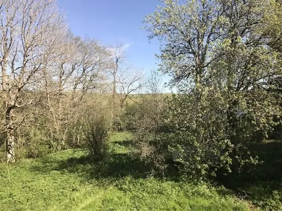 Tek Büyük Yataklı Oda (Paturage)