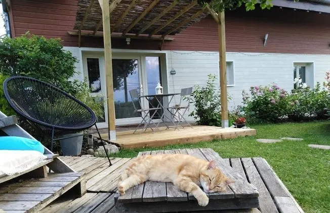 Dağ Evi, Birden Çok Yatak, Sigara İçilmez