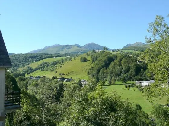 Tek Büyük Yataklı Oda, Dağ Manzaralı, Dağ Yamacı (Arbizon)