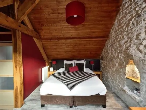 Tek Büyük Yataklı Oda, Banyolu/Duşlu (Rouge Savoie)