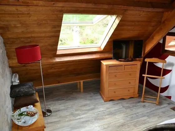 Tek Büyük Yataklı Oda, Banyolu/Duşlu (Rouge Savoie)