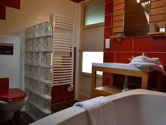 Tek Büyük Yataklı Oda, Banyolu/Duşlu (Rouge Savoie)