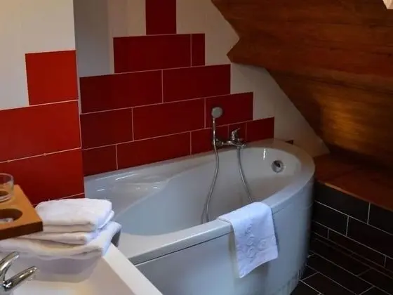 Tek Büyük Yataklı Oda, Banyolu/Duşlu (Rouge Savoie)