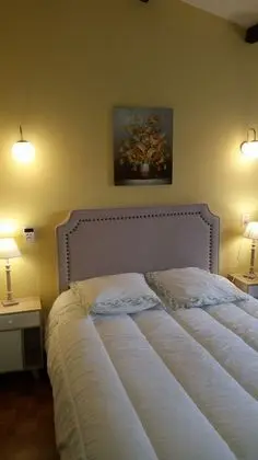 Tek Büyük Yataklı Oda, 1 Çift Kişilik Yatak, Buzdolabı, Bahçe Manzaralı