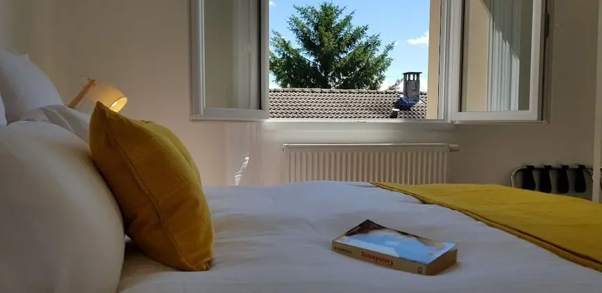 Superior Tek Büyük Yataklı Oda, Özel Banyo, Şehir Manzaralı (Gex)